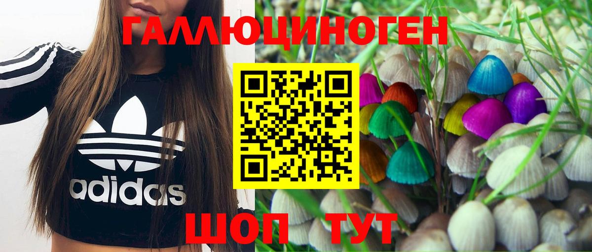 Псилоцибиновые грибы Psilocybe Кашира